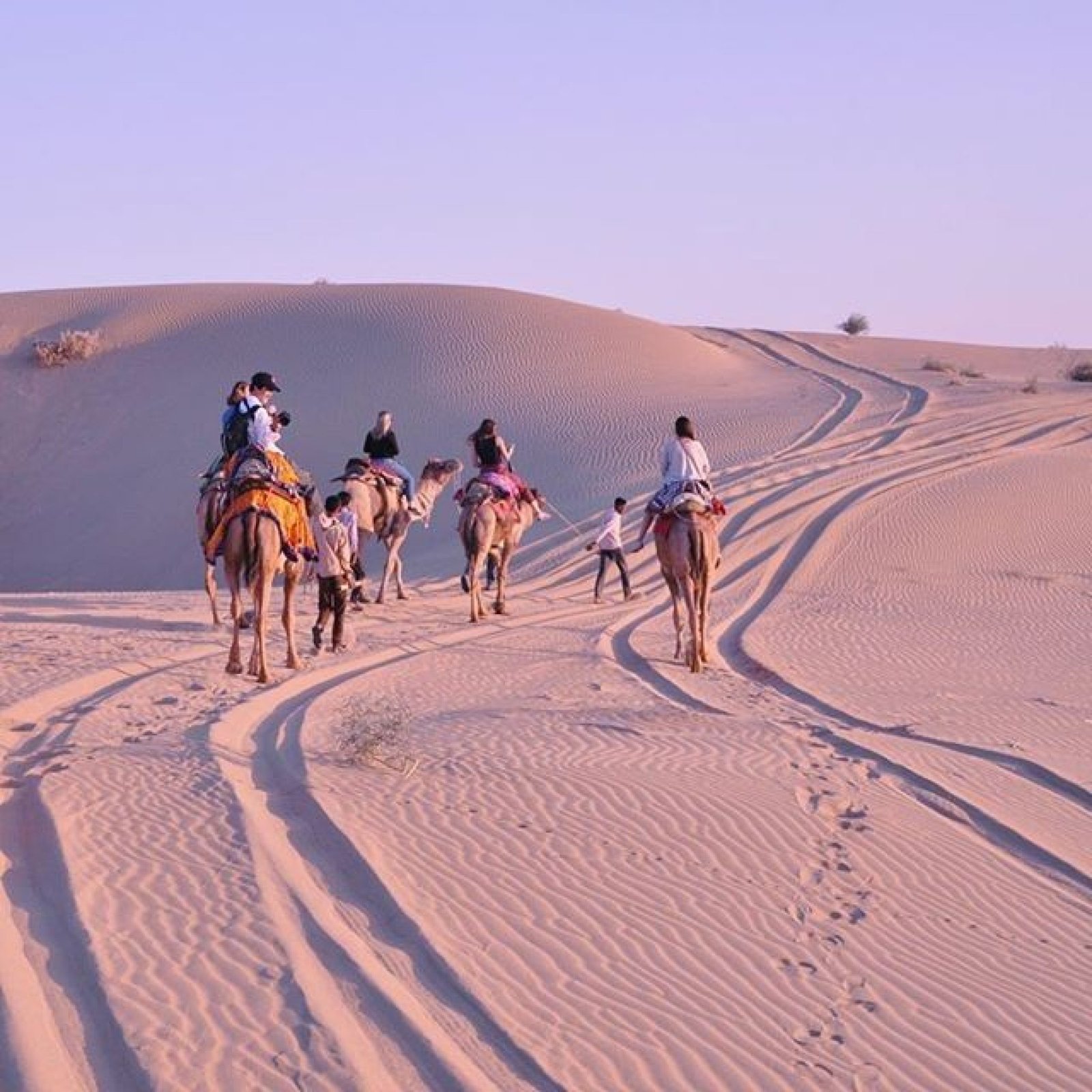 real desert safari jaisalmer