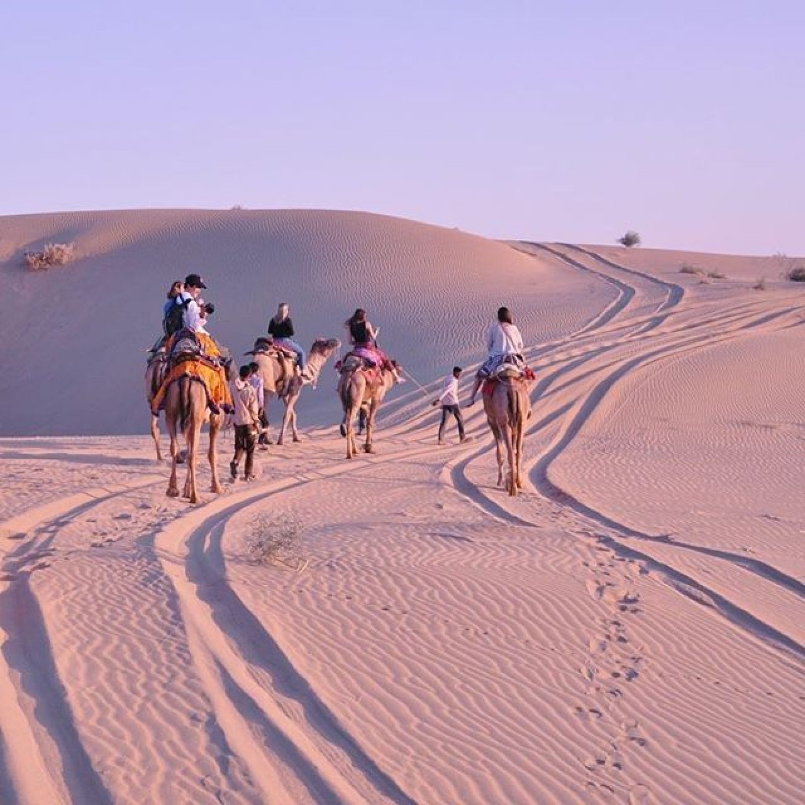 Jaisalmer Desert Safari Camel Safari Rajasthan Royals Holidays Jaisalmer Desert Safari Camel Safari Rajasthan Royals Holidays